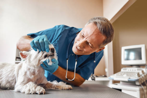 Best Emergency Dental Extractions in Unionville, NC